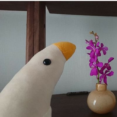 専業フリーランサー。マーケットリサーチの仕事がメイン。たまに翻訳も。専門分野は自動車・IT・電子部品。前職は市場調査会社のリサーチャー。TOEIC975点/IELTS7.5
趣味で翻訳しています。宮脇孝雄先生の翻訳会で勉強中。
ミステリとホラーの要素が交ざった小説が好き。
無言フォロー失礼します。