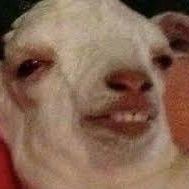 mayneymiskeci's profile picture. eğlenmeye geldim hepsi bu kadar