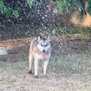 Jose Olascoaga - @3Ljosejose - Twitter