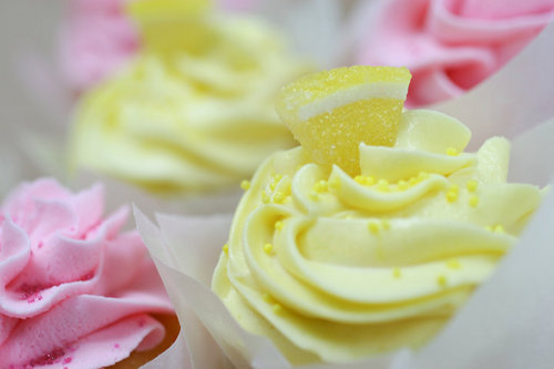 MySweetMadison's profile picture. We are a locally owned business that sells the best cupcakes, popcorn, chocolates, and candy in Madison all for a price you can afford! 511 State Street