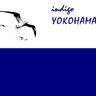 indigo_YOKOHAMA's profile picture. 横浜のジャズ・ファンク・バンド、indigo YOKOHAMAです。
バンド名でアカウントを作りながら、大半はバンマス（ベース弾き）の個人的な意見です。
基本的にフォローはお返ししますが、投資とか副業とかアフィリエイト関係は勘弁してください。
音楽についてもちゃんとつぶやくので（多分）よろしくお願いします。