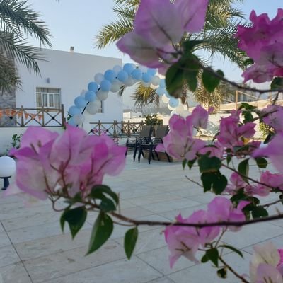 TalalAlmamari2's profile picture. اخصائي اشراف تربوي ومتخصص في علوم الرياضة