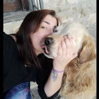 sera 🏳️‍🌈 (@serainselel) Twitter profile photo