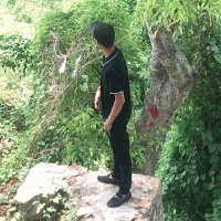 Tự (@tu_quoca) 's Twitter Profile