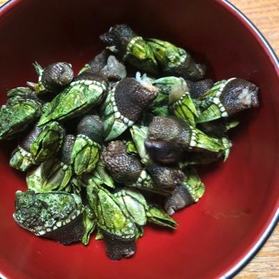 H5ooowoL6RnDCdp's profile picture. 釣りで食料確保したり、亀の手とか採ったりしてます...
まあ釣りが好きってのもあるんですが、海はさまざまな恩恵を恵んでくれるから皆さんゴミは確実が持って帰り処分して下さい！
と思っても声に出せない軟弱物です😅