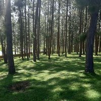 Empaako Village (@empaakovillage) 's Twitter Profile