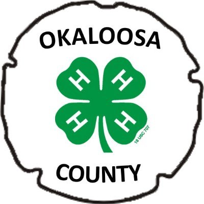 All thing’s Okaloosa county 4-H. 4-H is the nations largest youth organization. This program is a non formal practical educational all inclusive nonprofit club.