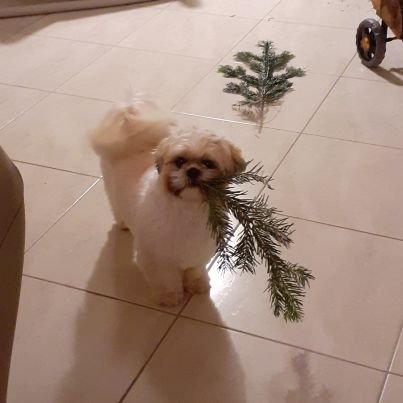 kimlbc's profile picture. 