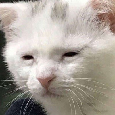 a cuAKさんのプロフィール画像