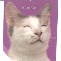 Cool Cat  (@Cool_Cat_) 's Twitter Profileg