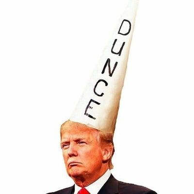 Everyone is a dunce