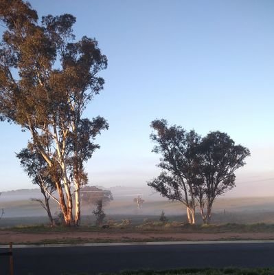 sparklegem66's profile picture. Smart attractive caring tough female