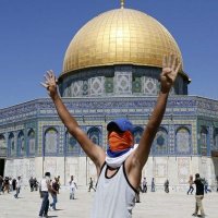 عبد الحفيظ الهواري (@skp3djvdfnnldtd) Twitter profile photo