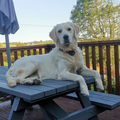 LloydMcS's profile picture. Cork.