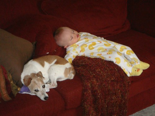 Langston742's profile picture. 