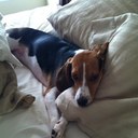 Simon Blackwell - @Simonblackwell1 - Twitter