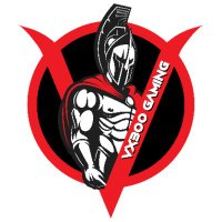Vx300 Gaming (@vx300gaming) 's Twitter Profile