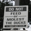 Matthew Batten - @Matt_Batten - Twitter