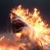 The $hark (@sharpsharkbets) Twitter profile photo The $hark (@sharpsharkbets) Twitter profile photo