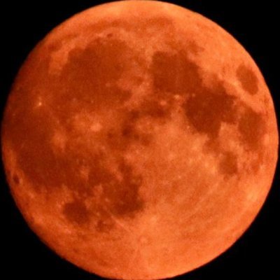 fitter55's profile picture. Gillingham born MoK living in Bath, UK. Gills, Kent CC, Bath Rugby, Vic Royals & F1. Union member. Once fettled submarines.