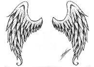 Solara19's profile picture. Hello! I use this account mainly to get clicks for some pets in an adoptables site :3. 

The wings I have as a profile pic are not mine.

See you!