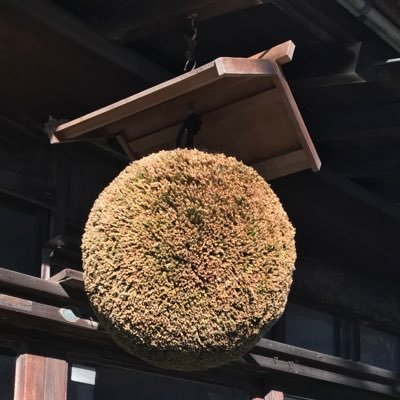 お酒は2合が丁度酔い。🏠で呑んだ日本酒の備忘録と日本酒の情報収集。好きな銘柄は、英君、赤武、寒菊、彩來、信州亀齢、亀の海、而今、亀泉、東洋美人、光栄菊🍶 日本酒ポストにイイネする👍 日本酒アカの無言フォロー失礼します。 #日本酒好きと繋がりたい