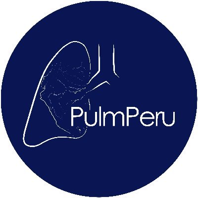 PeruPulm's profile picture. PulmPeru is a training collaboration grant for junior Peruvian investigators in enviromental risk factors driving chronic respiratory disease epidemic.