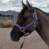 Erika Baumann (@erikabaumann6) 's Twitter Profile