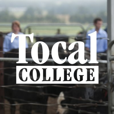 Tocal College - RTO 91166