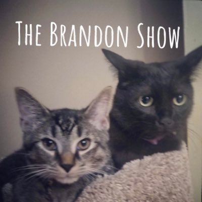 The best podcast you haven't listened to yet! Proudly hosted by @Brandon_P_Smith #PodsInColor🎙️