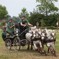 bram chardon (@bramchardon) 's Twitter Profile