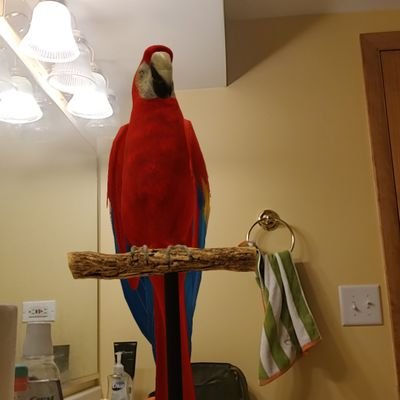 DanielH44184644's profile picture. 