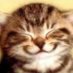 wyukawa (@wyukawa) Twitter profile photo wyukawa (@wyukawa) Twitter profile photo