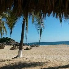 sandiatoledo's profile picture. No deshoja margaritas