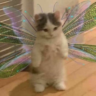 roachmilk6's profile picture. I am tall and ethereal