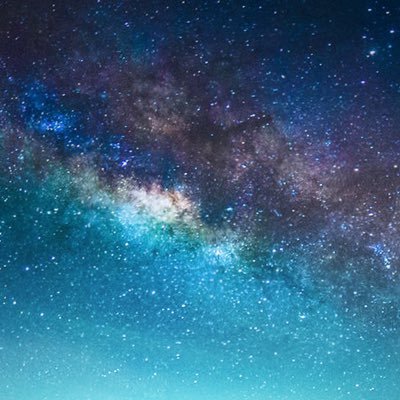 Paxx01's profile picture. A bit of an elections nerd