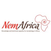 NemAfrica(@NemAfrica) 's Twitter Profile Photo