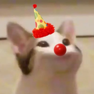 Shamrockin’ Robinさんのプロフィール画像
