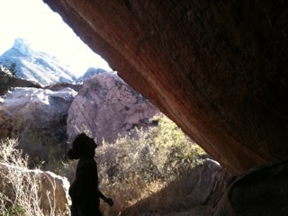 Diegolmontull's profile picture. 