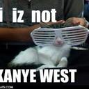 mollie elder - @MollieElder - Twitter