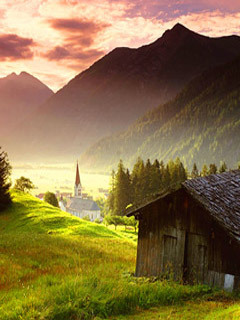 AliRafat567's profile picture. 