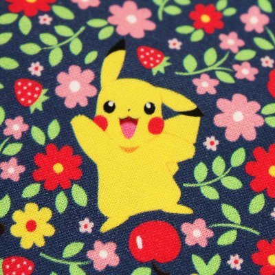 Sewingdoing ポケモン生地 まだ入荷前ですけど いい感じで先にsnsで公開します 進化していく イーブイ 柄と 世界のどこにもなかった エルフーン と チルット 柄 眠る ピカチュウ と ポケモン 達 凄く可愛いくて皆様にお見せたがって Sewingdoing ポケモン生地 まだ入荷前ですけど いい感じで先にsnsで公開します 進化していく イーブイ 柄と 世界のどこにもなかった エルフーン と チルット 柄 眠る ピカチュウ と ポケモン 達 凄く可愛いくて皆様にお見せたがって
