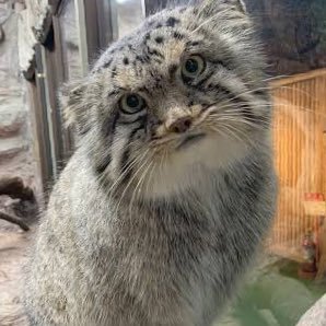 ひろあきさんのプロフィール画像