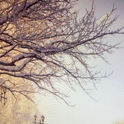 Edgar_Books's profile picture. Amante de la lectura. Si me envías recomendaciones las miraré. GRACIAS VIDA