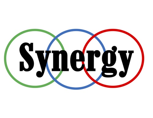 SynCorped's profile picture. Our goal as Synergy Inc. is to to address problems faced by older workers and help businesses retain the experience of older workers.
