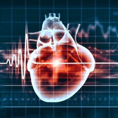 We are a high performance human research laboratory with modern technology to assess a wide array of physiological and functional rehabilitation assessments.