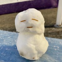 ふろいで (@tomb_freude) 's Twitter Profile Photo