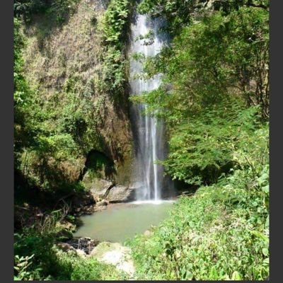 Jursie1's profile picture. botak