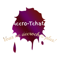 Accrotchat2's profile picture. Le site Accro-Tchat change de Look pour 2021 vous y trouverais de la musique du cinéma des quiz des jeux animations salon adultes