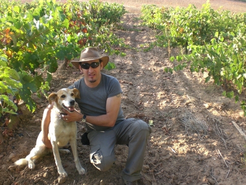 leafarprince's profile picture. 